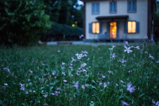 EMF Protection for Home:  A New Standard for Wellness