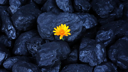 What Is Shungite Used For?