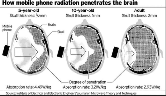 Under Current Cell Phone Radiation Safety Standards, Your Head is Not Safe