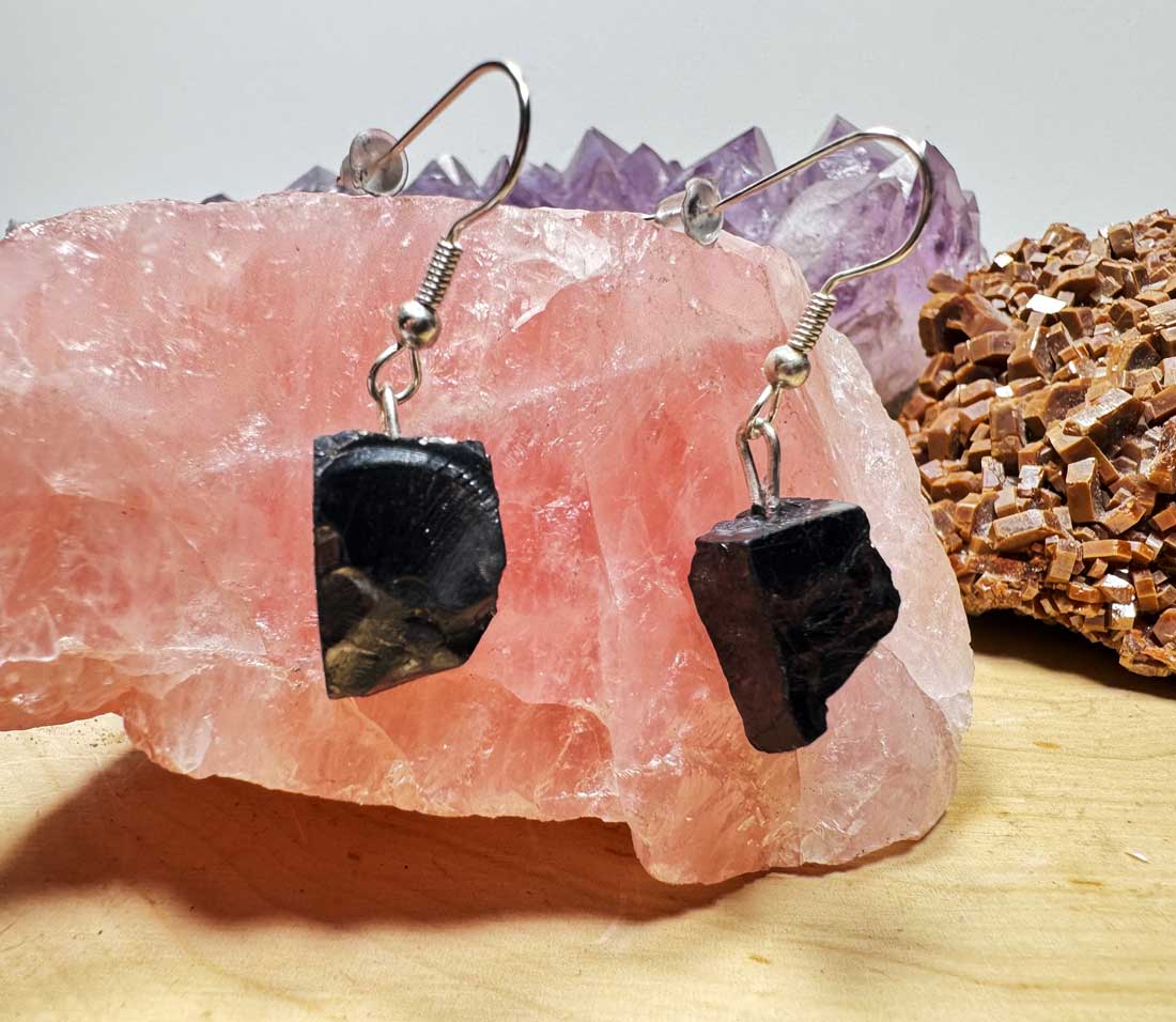 Shungite Earrings