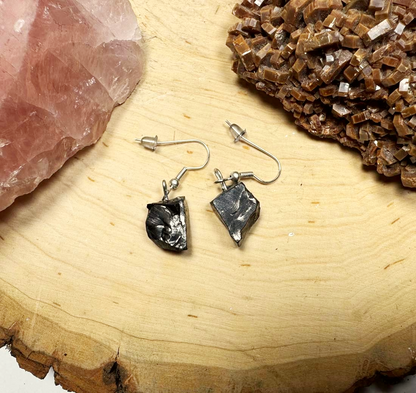 Noble Shungite Earrings